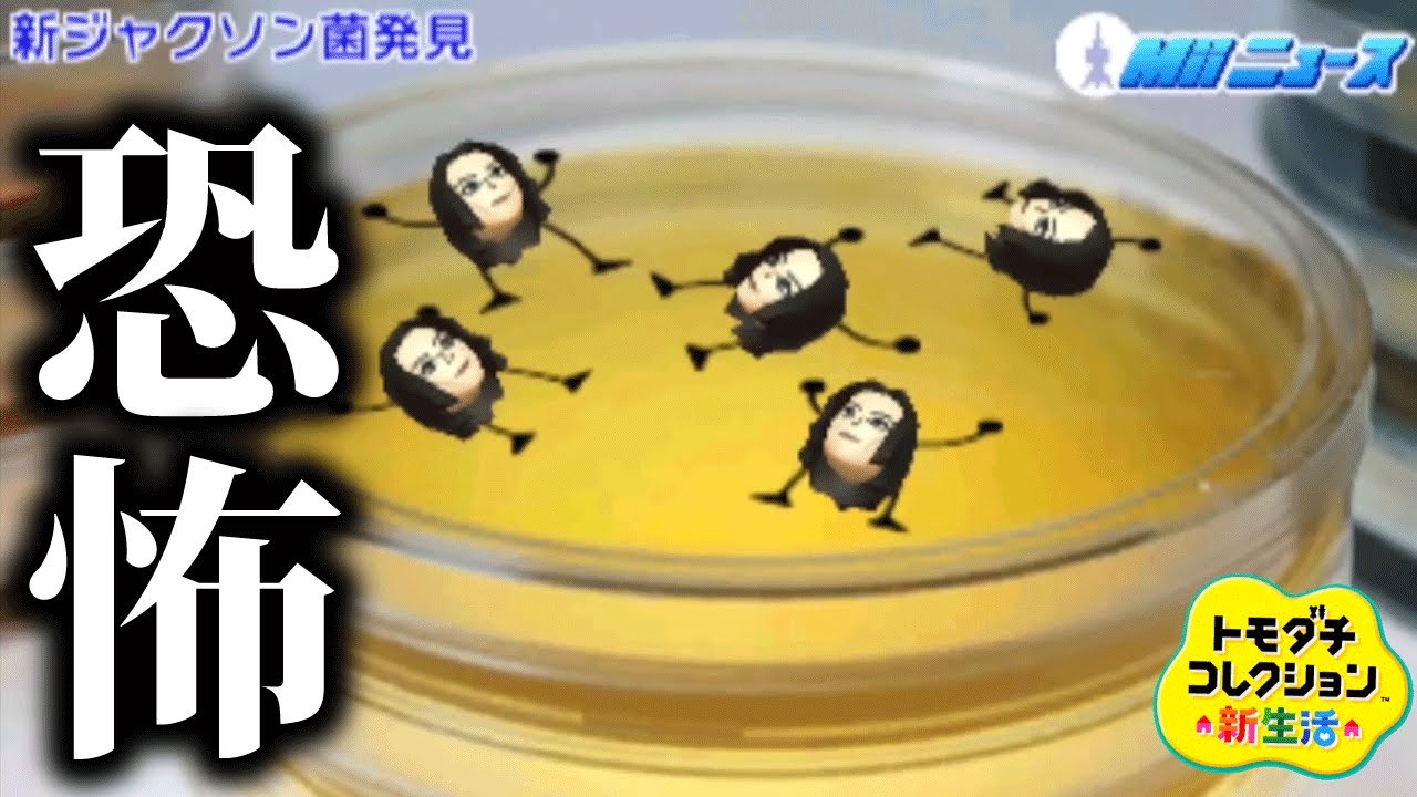 トモコレの世界観が怖すぎる【トモダチコレクション新生活】