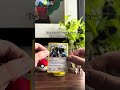 I Made a Drink to Match this Regigigas 🗿 #pokemonchannel #pokemontcg #pokemon