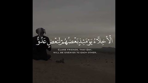 الأخلاء يومئذ بعضهم لبعض عدو *تلاوة خاشعة وجمييلة للشيخ د. ياسر بن راشد الدوسري .. 🤍😴*