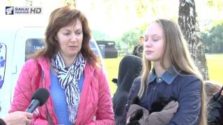 Infostudija 2015-10-05