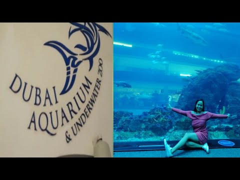 Dubai Aquarium & Underwater Zoo