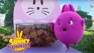 ¡Felices Pascuas! | Las Aventuras de Sunny Bunnies | Dibujos para niños by Las Aventuras de Sunny Bunnies 168,213 views 1 month ago 59 minutes