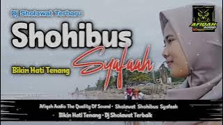 DJ SHOHIBUS SYAFAAH || STAYL BANJARI #trending