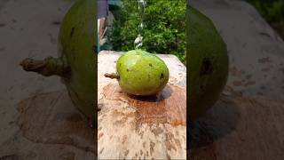 tasty mango pickle 🥭🌶️#youtubeshorts