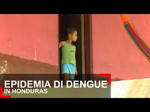 Video: 15 Rimedi Casalinghi Per La Febbre Dengue