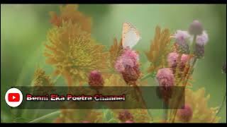 TIAR RAMON - LANGANG DI NAN RAMI