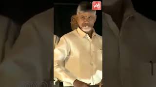 Chandrababu Naidu STRONG💪🔥Counter To CM YS Jagan | Chandrababu About YSR |TDP Vs YCP |YOYO TV Shorts