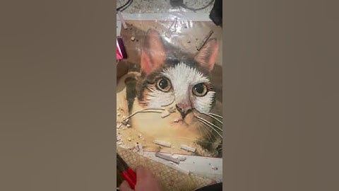 Cat Mosaic Mural - 🐾 Work-in-Progress Alert! 🎨🐱