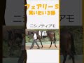 【競馬予想】フェアリーステークスで穴を開ける馬３頭#shorts