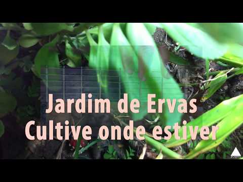 Vídeo: Jardim De Ervas