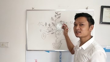 Vlog 01 : Hướng dẫn cách tỉa lá và nhánh phụ nuôi trái trên cây dưa lưới, dưa lê cho hiệu quả cao