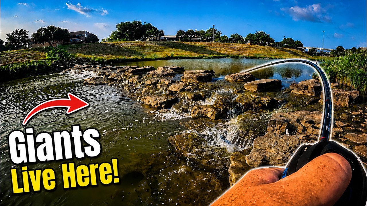 Do Giant Bass Live in this TINY Spillway?
