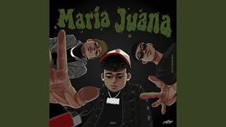 Maria Juana (feat. gins & melodies & Leeroy)