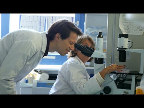 A la découverte de l'INSERM A la découverte de l'INSERM