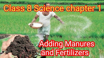 Adding Manures and fertilizers Class 8 Science chapter 1 Crop Production and Management