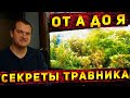 Детальный обзор  по содержанию аквариума травника от Артема и немного о перезапуске!