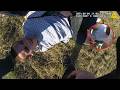 Bodycam: National Guard Vet With No Record Faces Class X Felony Over Charging Cables