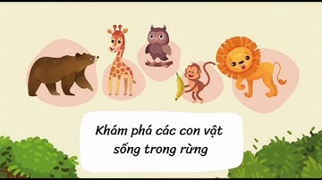 KPKH: một số con vật sống trong rừng