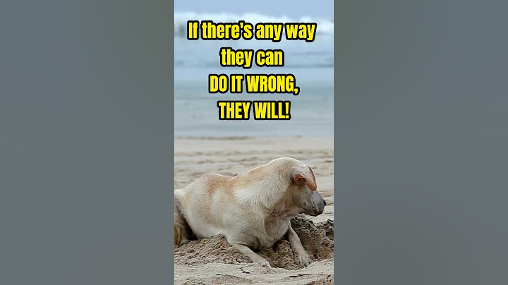 Murphy's Laws Who was Murphy? #murphylaw #murphyslaw #humor #wisdom #wisdomquotes #wit