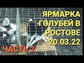 Ростов-на-дону. 20.03.22. Сборная ярмарка голубей. Часть 2. Bird market. Nikolaevsky pigeons.