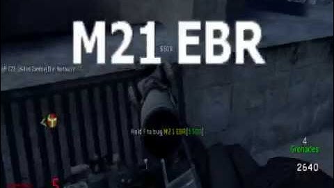 Mw2 [PC] modded server zombies