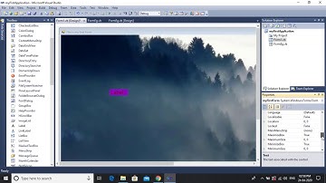 4. Introduction to Forms in VB.NET