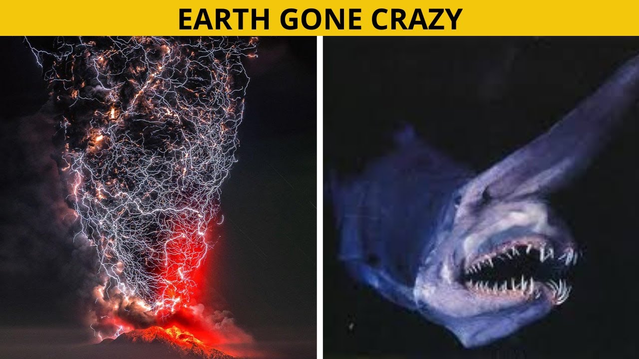 Real Things You Won’t Believe Exist