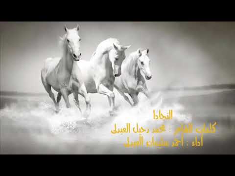 النجادا