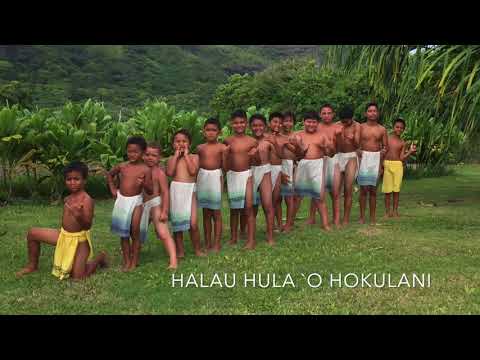 halau Camp