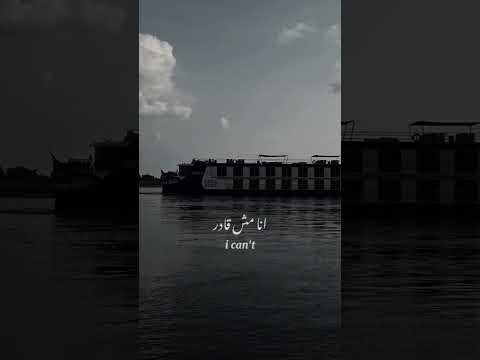 أحلى غرام ريان