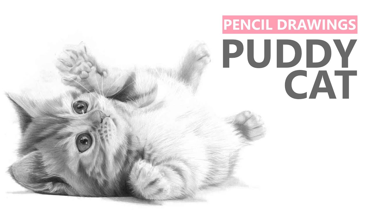 Cute Puddy Cat Realistic Pencil Drawing • My Art - YouTube