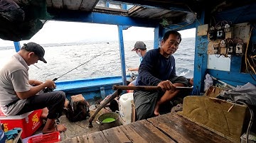 Câu Cá Biển , Nghề Câu Biển , Câu Mực Đêm , Tại | MŨI DINH SƠN HẢI