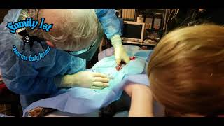 Download Lagu American Bully gets emergency C-section!! MP3