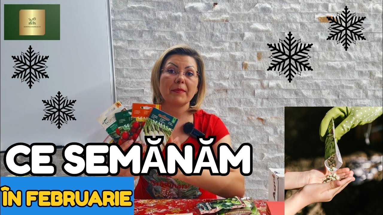 Ce semănăm în Februarie. Cum se calculează data la care semănăm roșii,  ardei, vinete🍅🫑🍆