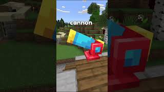 THEY HAVE HAMSTER IN MINECRAFT!? #shorts