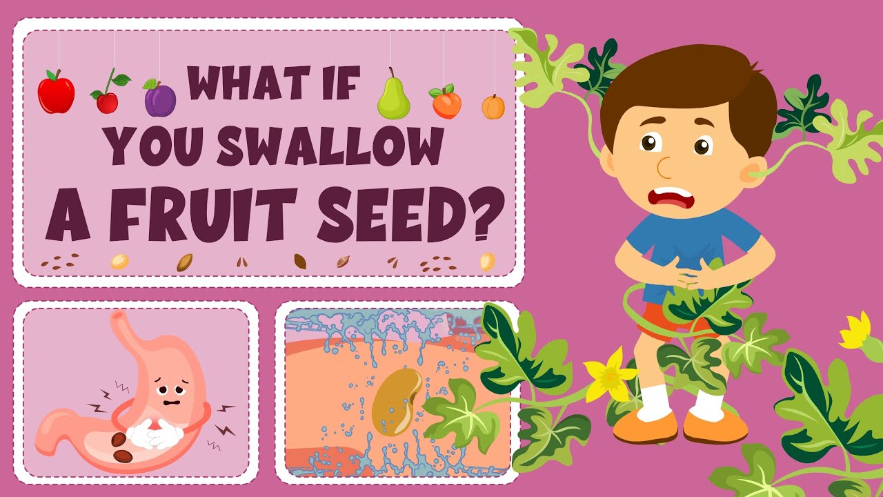 What If You Swallow A Fruit Seed? - Are Fruit Seeds Harmful