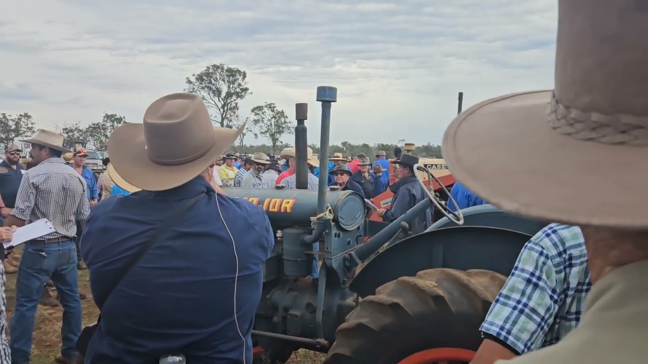 Life collection of Mervyn Polzin clearing sale 