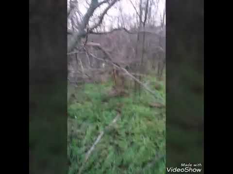 223 Rem пуля Hornady V-Max