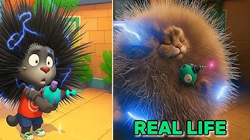 Talking Tom Cat 2025 In Real Life Part 11