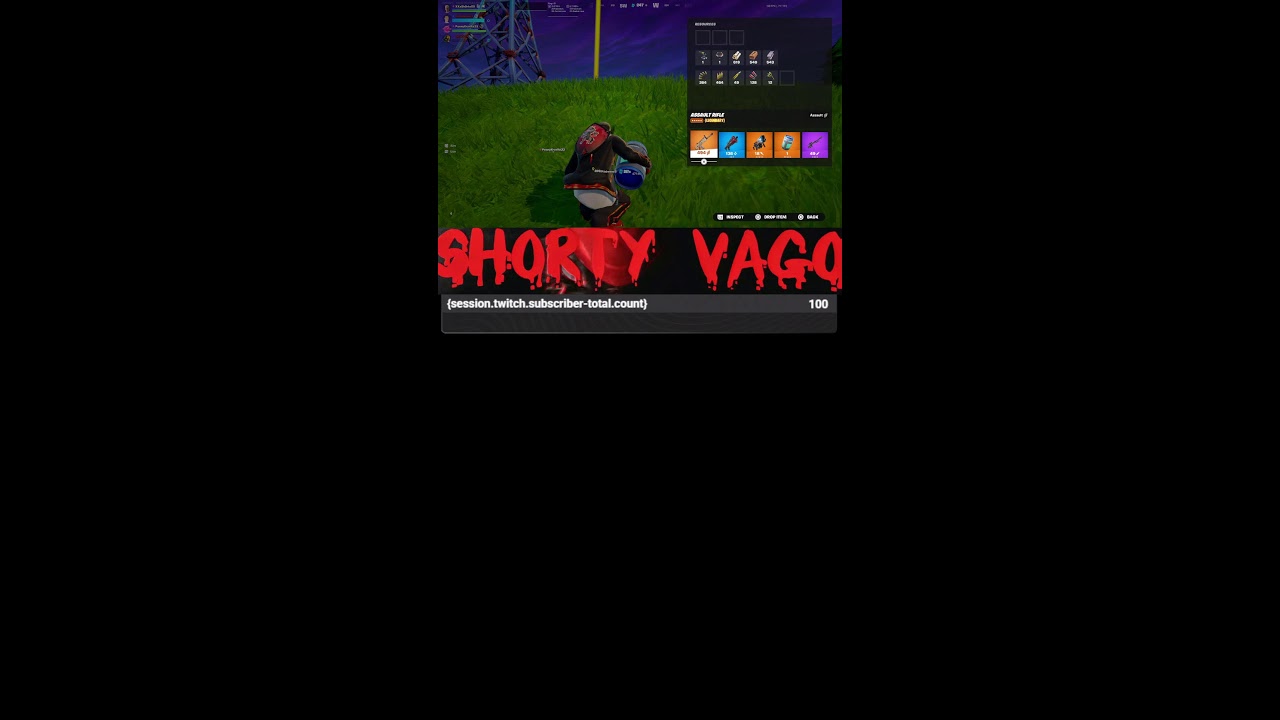 Fortnite og