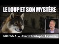 Le loup, symbolisme et traditions avec Christophe Levalois