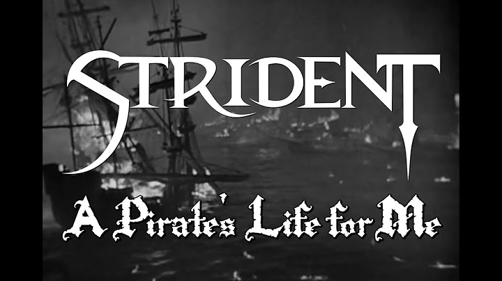 Pirates life for me lyrics