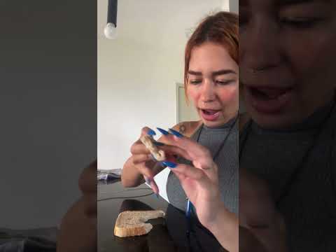 Como dar remdio pro cachorro