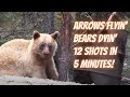 Arrows Flyin' Bears Dyin' 12 shots in 5 minutes