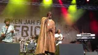 Tiken Jah Fakoly - Viens Voir - Live @ Wiesen Sunsplash 2012