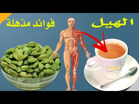 فوائد الحبهان الهيل في علاج الامراض ونصائح تناوله بصوره آمنة