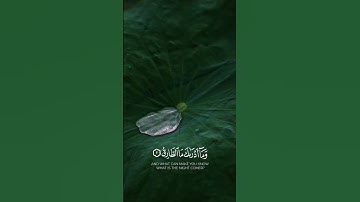 قران #القارئ_محمد_اللحيدان #سورة_الطارق