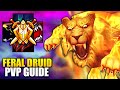 ULTIMATE Rank 1 Feral Druid PvP Guide | War Within Season 1