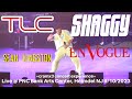 Capture de la vidéo Shaggy Tlc En Vogue Sean Kingston Hot Summer Nights Tour Live @ Pnc Bank Arts Center Holmdel Nj 2023