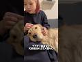 犬にも甘える時のゴロゴロ音があるのご存知ですか？笑#ゴールデンレトリバー #犬系彼氏